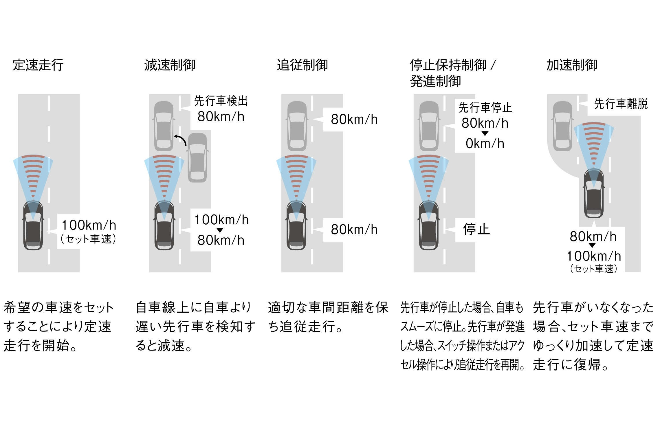 意外と知らない クルーズコントロール の使い方