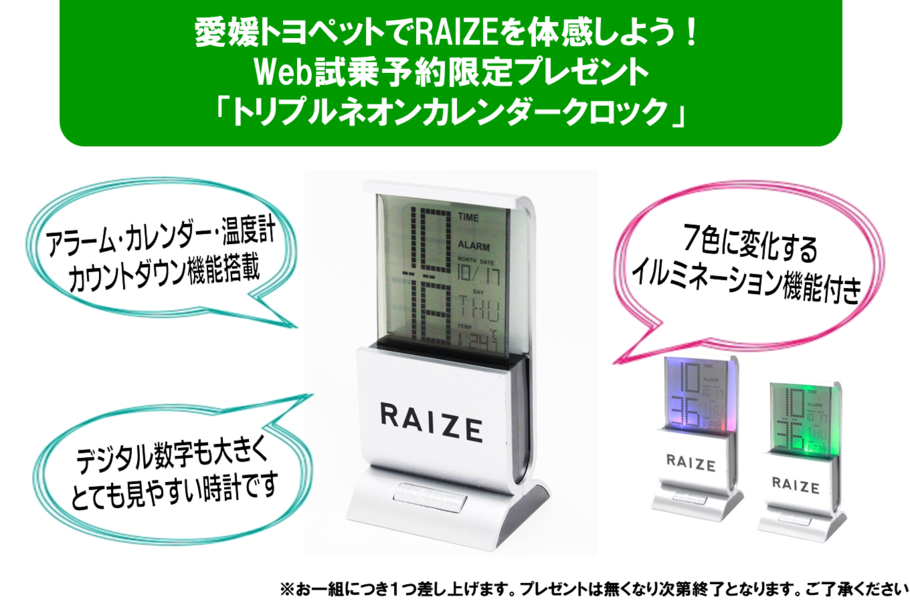 RAIZE