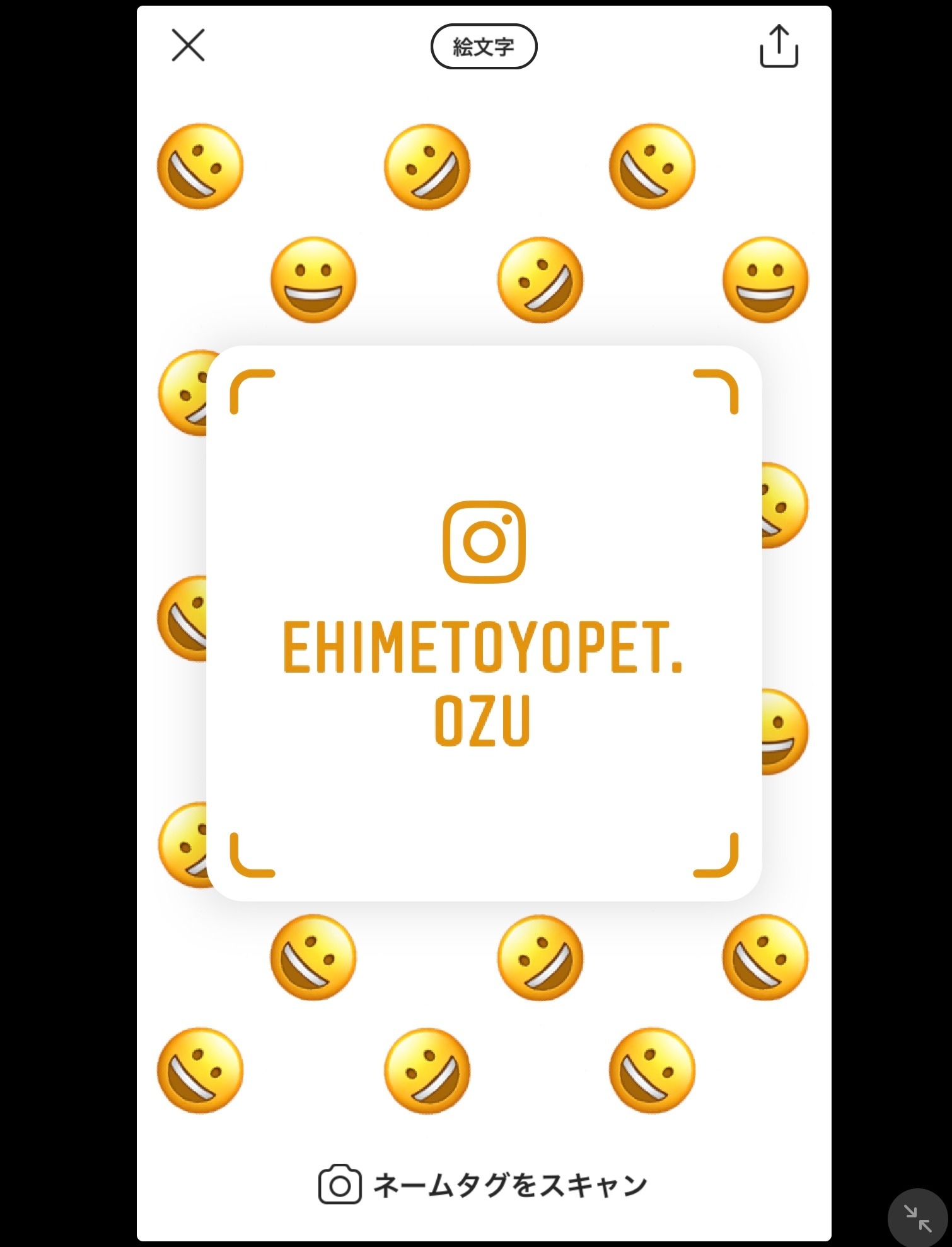 https://www.instagram.com/ehimetoyopet.ozu/?hl=ja