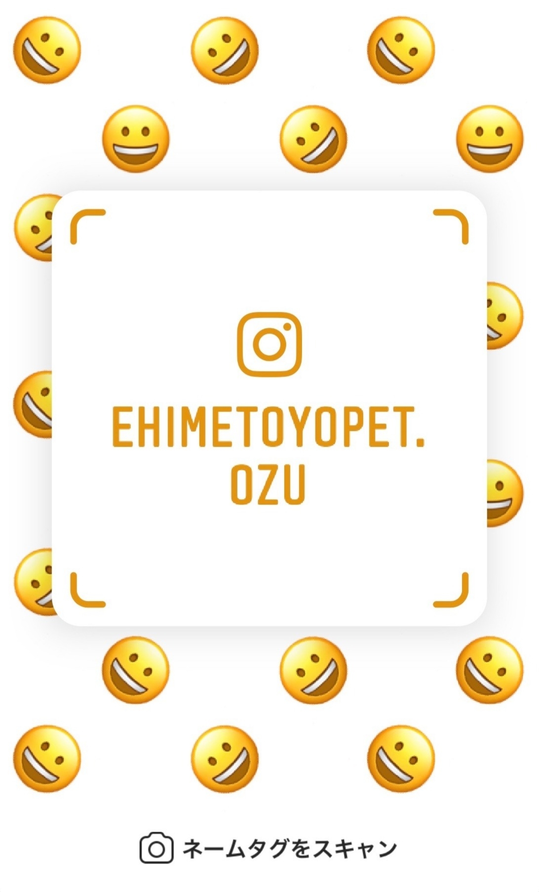 https://www.instagram.com/ehimetoyopet.ozu/