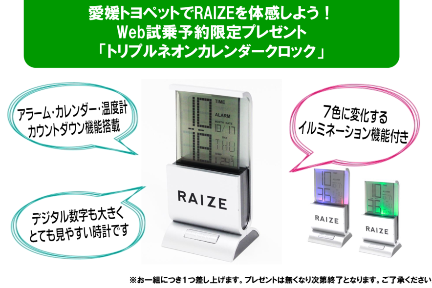 RAIZE