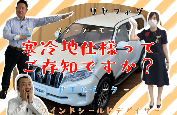 車両情報 寒冷地仕様車は何が違うの