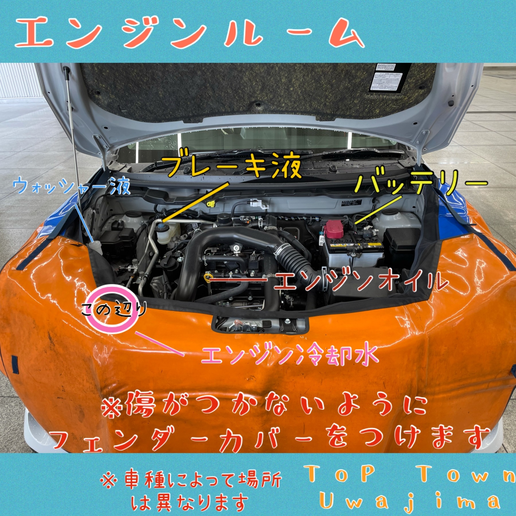 サービス情報 車のメンテナンス 12ヶ月定期点検編