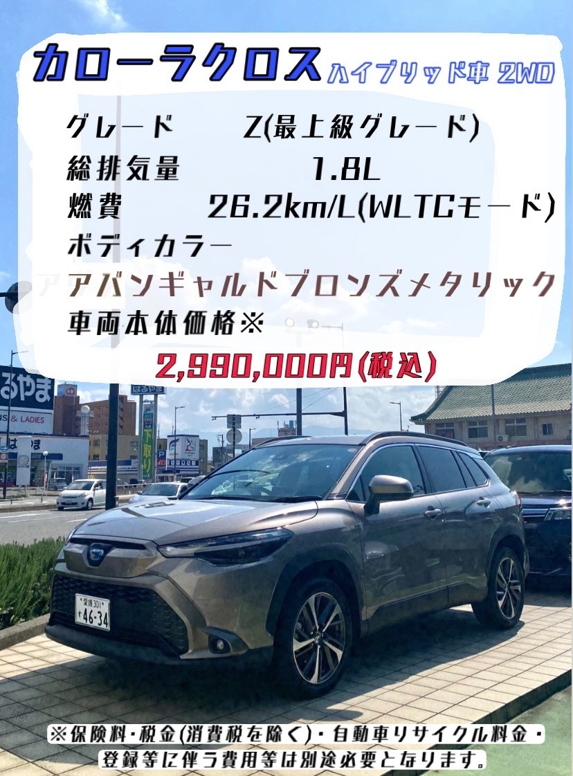 釣り好き必見 新型suv カローラクロスで行く 松山オススメの釣りスポット