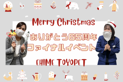 kosaka_blog