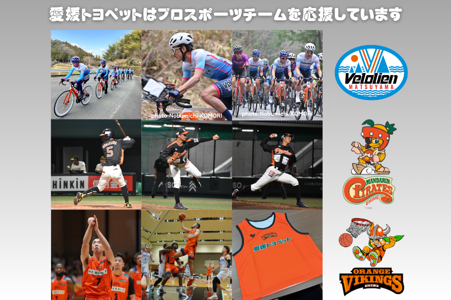 プロスポーツチーム応援