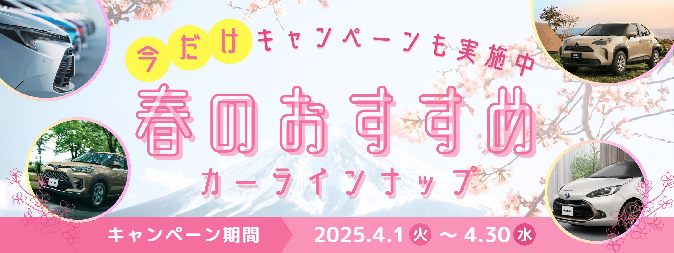 春のおすすめカーラインナップ