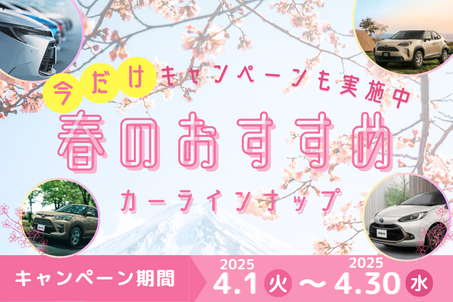 春のおすすめカーラインナップ